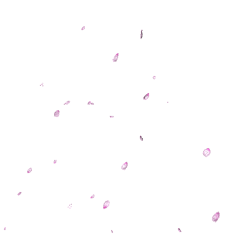 Sakura Background